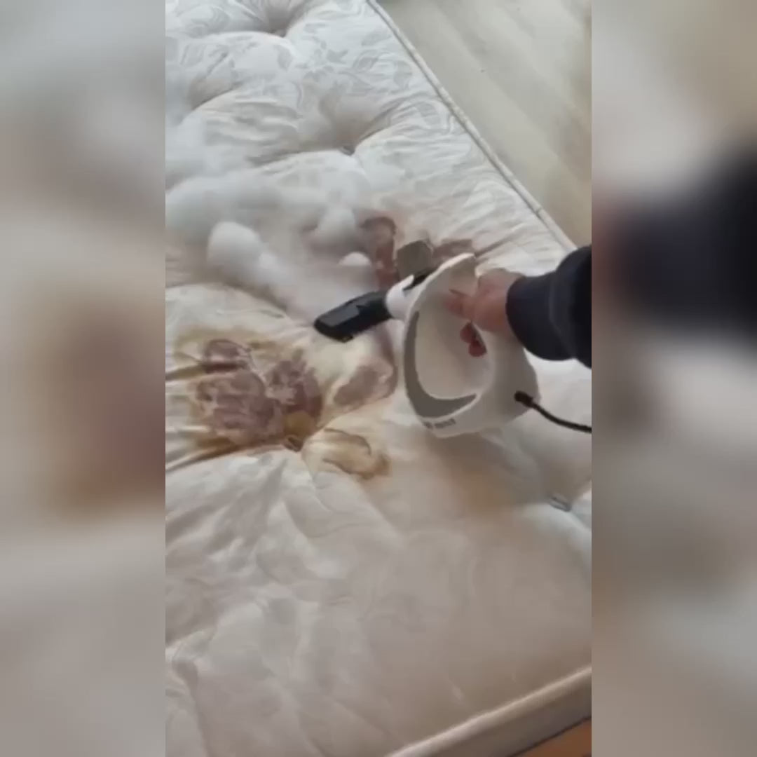 Ranex Damprenser™ - Effektiv Damprens til hjemmebrug